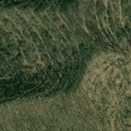 Satellite imagery of ALVY — NGS JX1940 — Tyler County, US, US