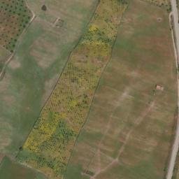 Satellite imagery of survey_point, PT