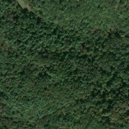 Satellite imagery of Z 135 — NGS JX0416 — Tyler County, US, US