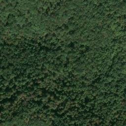 Satellite imagery of Z 135 — NGS JX0416 — Tyler County, US, US