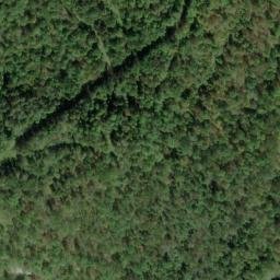 Satellite imagery of F 135 — NGS JX0385 — Tyler County, US, US