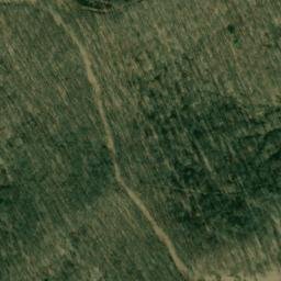 Satellite imagery of ALVY — NGS JX1940 — Tyler County, US, US
