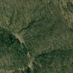 Satellite imagery of ALVY — NGS JX1940 — Tyler County, US, US