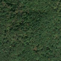 Satellite imagery of A 141 — NGS JX0415 — Tyler County, US, US