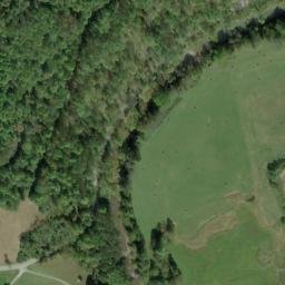 Satellite imagery of F 135 — NGS JX0385 — Tyler County, US, US