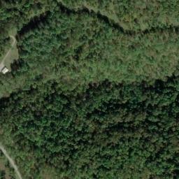 Satellite imagery of F 135 — NGS JX0385 — Tyler County, US, US