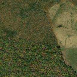 Satellite imagery of Pheasant Ridge, US