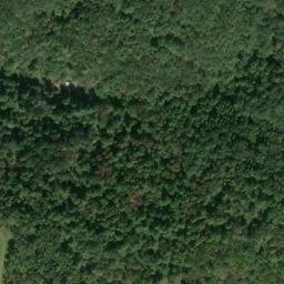 Satellite imagery of A 141 — NGS JX0415 — Tyler County, US, US