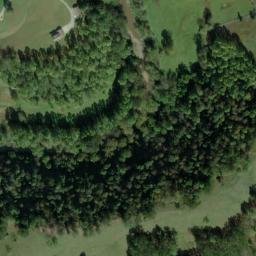 Satellite imagery of F 135 — NGS JX0385 — Tyler County, US, US