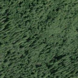 Satellite imagery of Riley Ridge, US