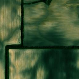 Satellite imagery of Fox Ridge, US