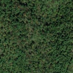 Satellite imagery of D 135 — NGS JX0383 — Tyler County, US, US