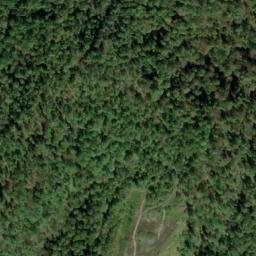 Satellite imagery of D 135 — NGS JX0383 — Tyler County, US, US