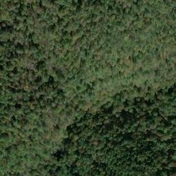 Satellite imagery of D 135 — NGS JX0383 — Tyler County, US, US