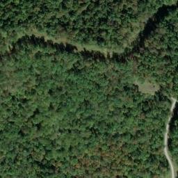 Satellite imagery of A 142 — NGS JX0339 — Tyler County, US, US