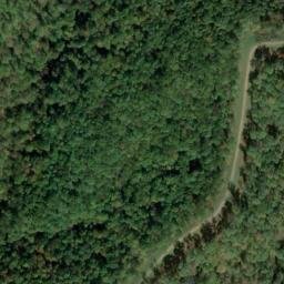 Satellite imagery of D 135 — NGS JX0383 — Tyler County, US, US