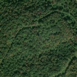 Satellite imagery of S 135 — NGS JX0411 — Tyler County, US, US