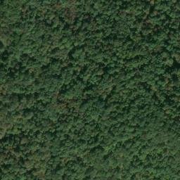 Satellite imagery of C 141 — NGS JX0413 — Tyler County, US, US