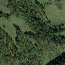 Satellite imagery of E 135 — NGS JX0384 — Tyler County, US, US