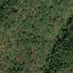 Satellite imagery of C 135 — NGS JX0382 — Tyler County, US, US