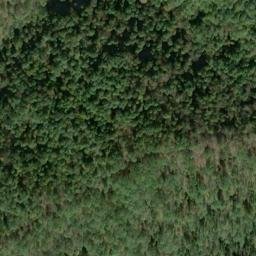 Satellite imagery of B 135 — NGS JX0381 — Tyler County, US, US