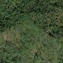 Satellite imagery of B 135 — NGS JX0381 — Tyler County, US, US