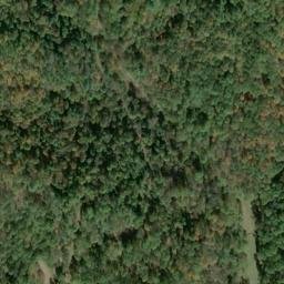 Satellite imagery of B 135 — NGS JX0381 — Tyler County, US, US