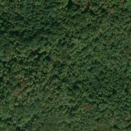 Satellite imagery of R 135 — NGS JX0410 — Tyler County, US, US