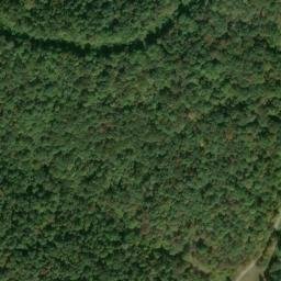 Satellite imagery of D 141 — NGS JX0302 — Tyler County, US, US