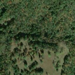 Satellite imagery of A 135 — NGS JX0380 — Tyler County, US, US