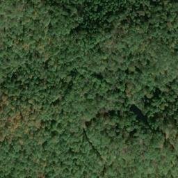 Satellite imagery of Z 134 — NGS JX0379 — Tyler County, US, US