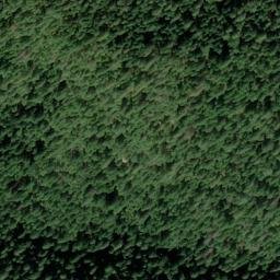 Satellite imagery of Upper Spanish Mine, US