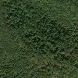 Satellite imagery of D 141 — NGS JX0302 — Tyler County, US, US