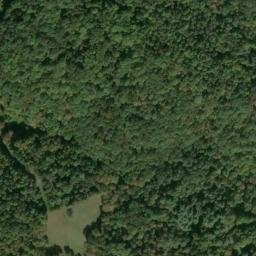 Satellite imagery of D 141 — NGS JX0302 — Tyler County, US, US