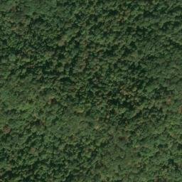 Satellite imagery of G 141 — NGS JX0303 — Tyler County, US, US