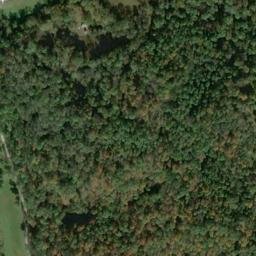 Satellite imagery of C 135 — NGS JX0382 — Tyler County, US, US