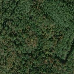 Satellite imagery of C 135 — NGS JX0382 — Tyler County, US, US