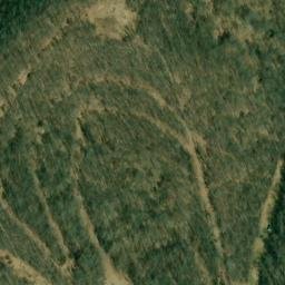 Satellite imagery of S 137 — NGS JX0393 — Doddridge County, US, US