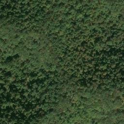 Satellite imagery of G 141 — NGS JX0303 — Tyler County, US, US