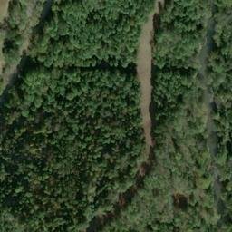 Satellite imagery of Z 134 — NGS JX0379 — Tyler County, US, US