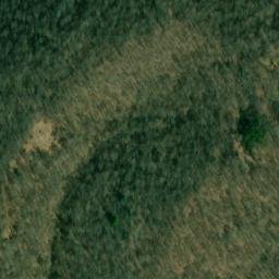 Satellite imagery of P 137 — NGS JX0396 — Doddridge County, US, US