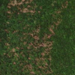 Satellite imagery of Elk Ridge, US