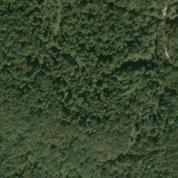 Satellite imagery of WICK — NGS JX1965 — Tyler County, US, US