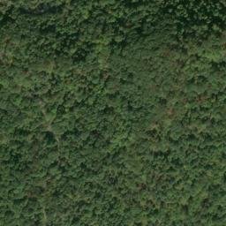 Satellite imagery of G 141 — NGS JX0303 — Tyler County, US, US