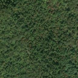 Satellite imagery of G 141 — NGS JX0303 — Tyler County, US, US