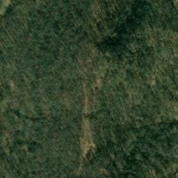 Satellite imagery of WALLACE MICROWAVE TOWER — NGS JX1934 — Harrison County, US, US
