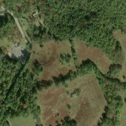 Satellite imagery of F 315 — NGS JX1791 — Taylor County, US, US