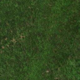 Satellite imagery of Elk Ridge, US