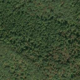 Satellite imagery of WICK — NGS JX1965 — Tyler County, US, US