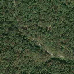 Satellite imagery of H 141 — NGS JX0304 — Tyler County, US, US